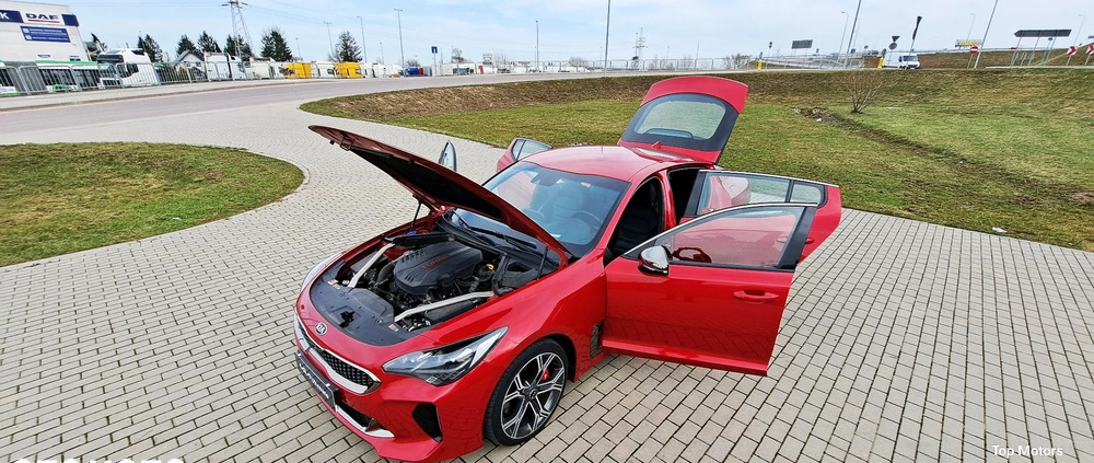 Kia Stinger cena 144900 przebieg: 82170, rok produkcji 2017 z Wojkowice małe 781